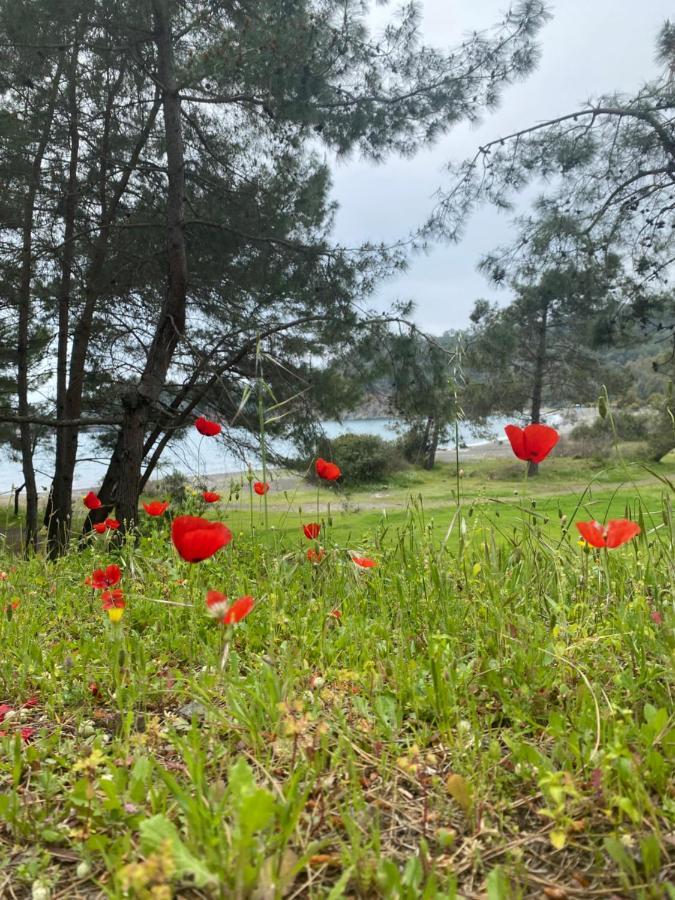 Inlice Uenzile Bungalow Inlice Kamp Fethiye Exterior foto